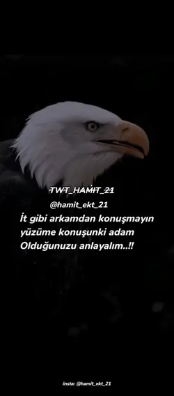 takip et beğen