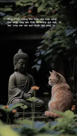 Caption & màu 