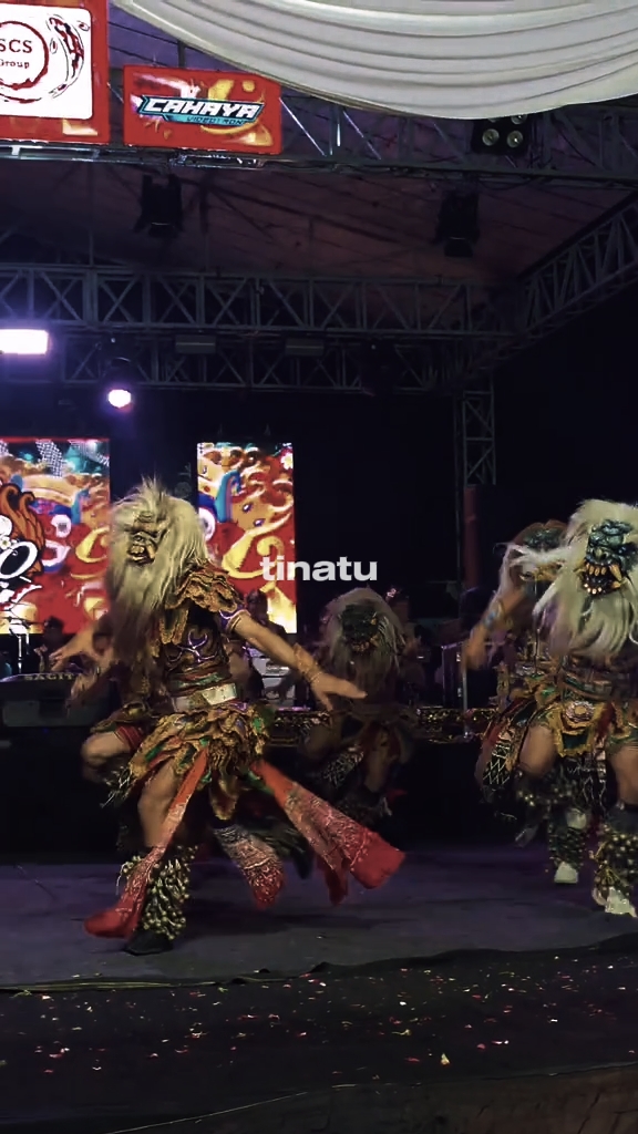 tinatu 2