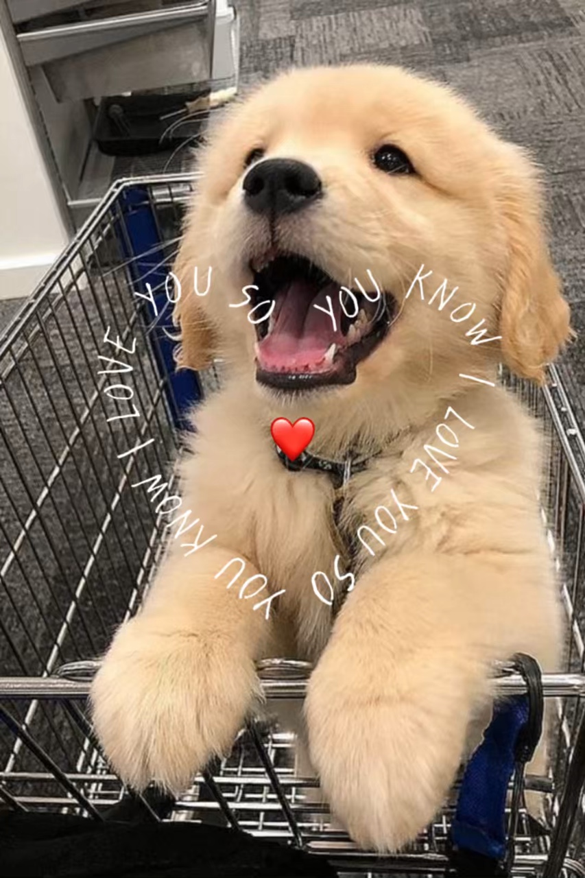 Sabes que te amo 
