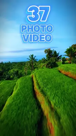 37 clip or photo