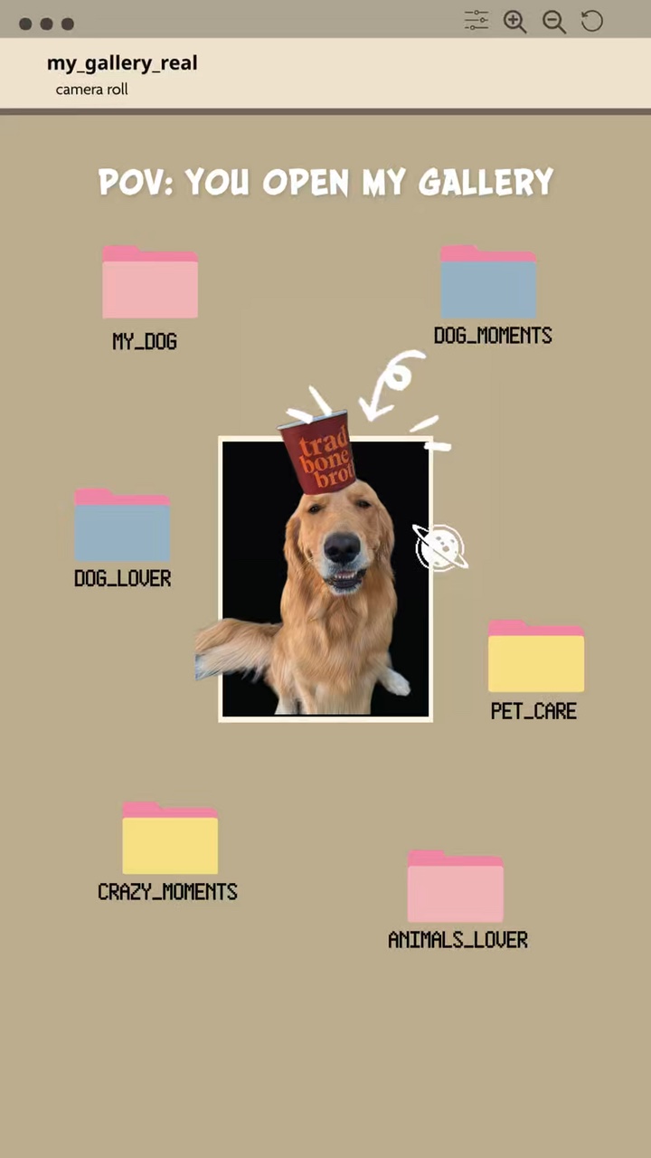 Volcado de perros