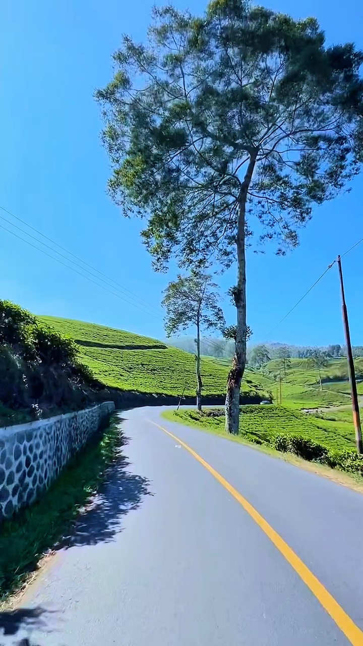 5 clips video road