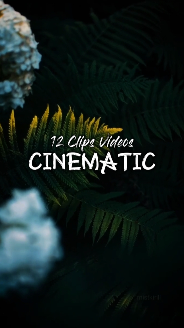 AESTHETIC CINEMATIC