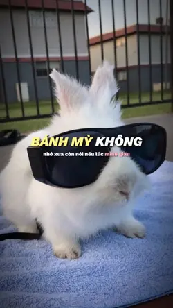 BÁNH MỲ KHÔNG
