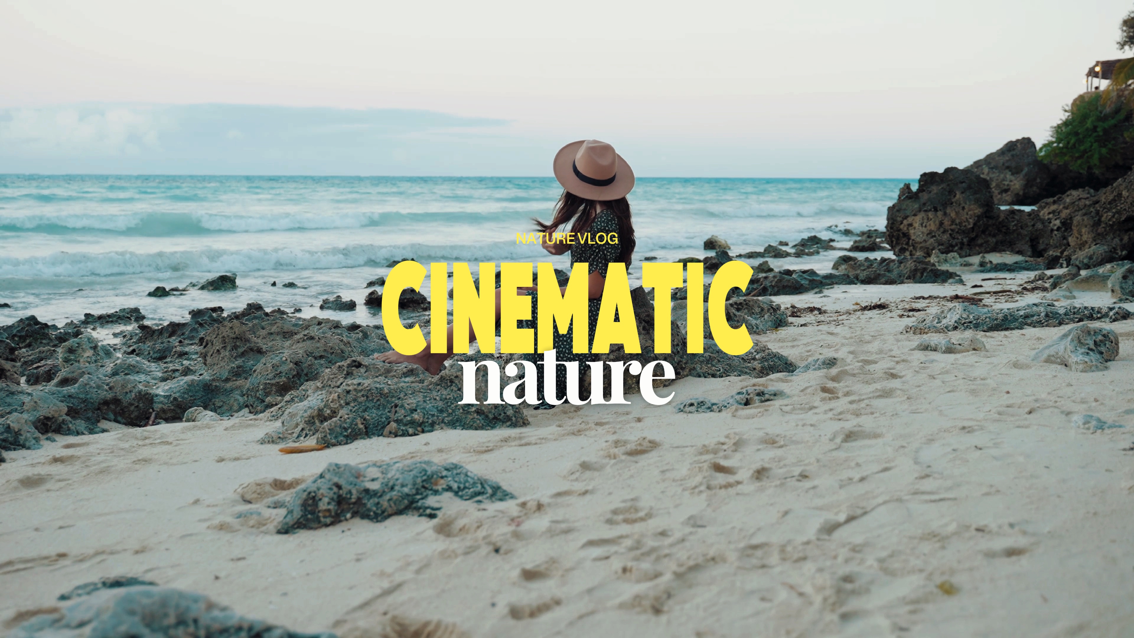 cinematic nature