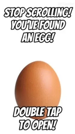 What inside of egg?