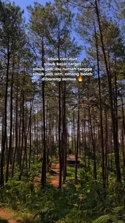 diborong semua