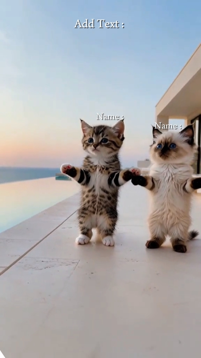 Tendencia del gato