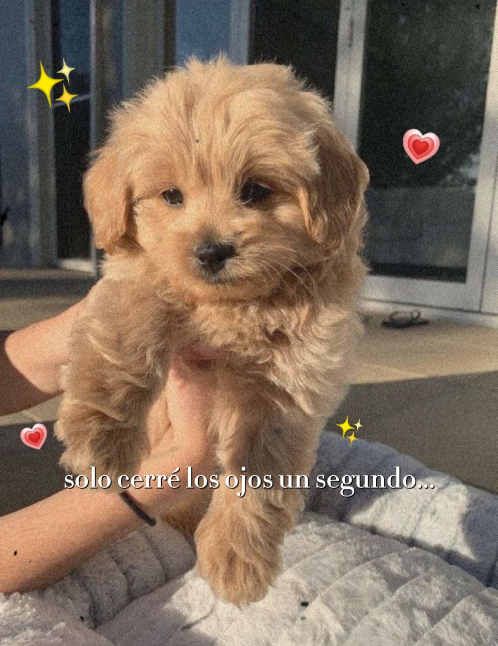 solo fue un momento 