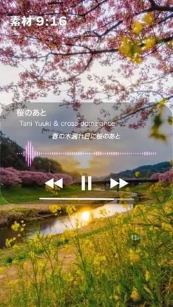 🎵桜のあと
