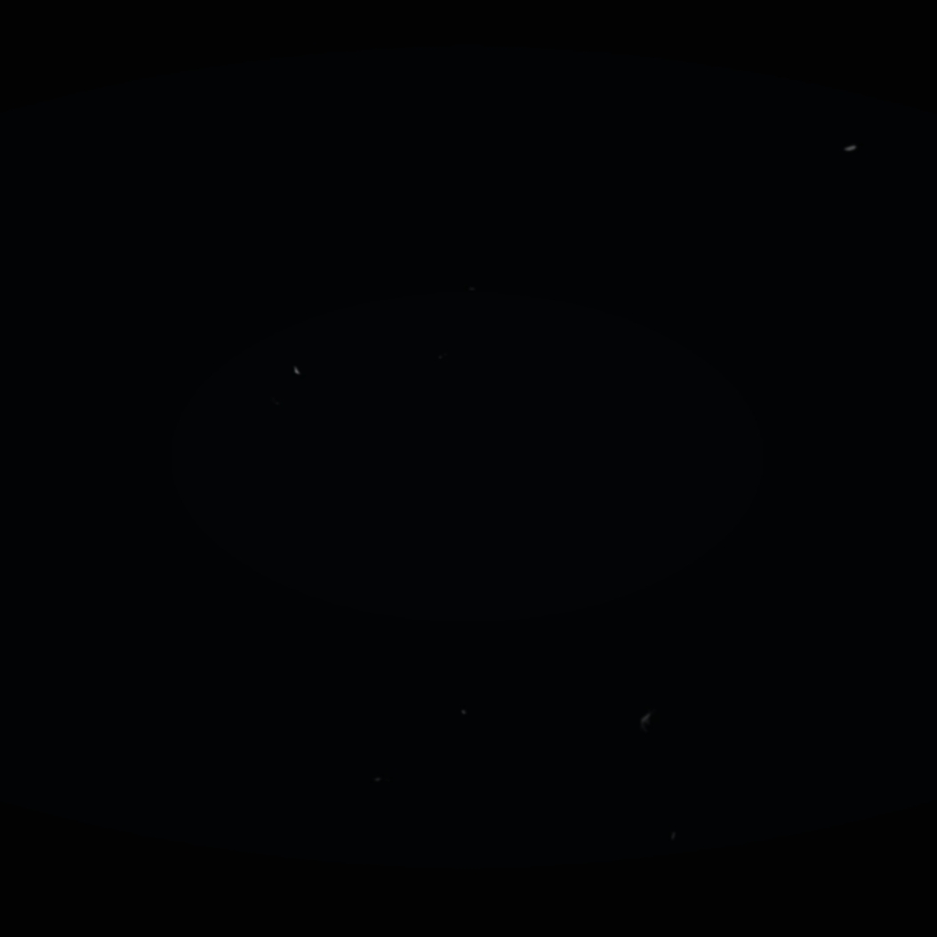 Vidéo virale tendance