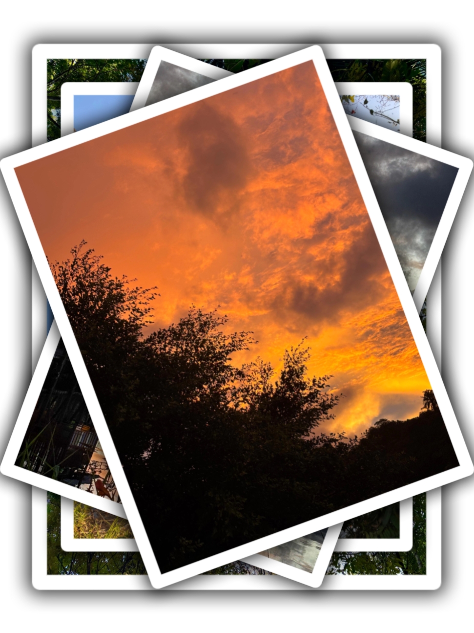 5Pic Grid Aesthetic