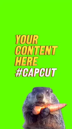 Chuck the Groundhog