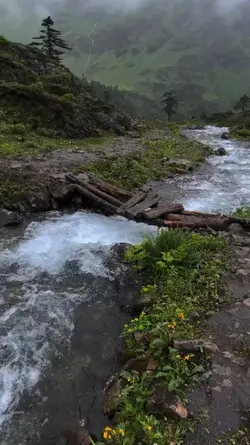 nature