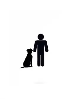 with your dog