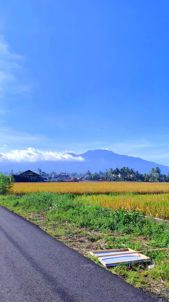 Teamplet simpel