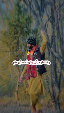 pushto Poetry