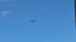 Slowmo malayalam