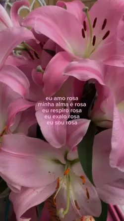 eu amo rosa