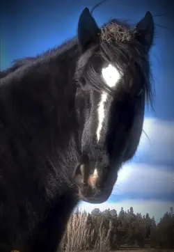 PAPAOUTAI SLOWMO