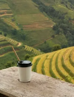 Chill nhé