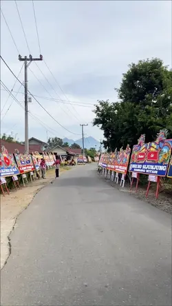 Selayang pandang