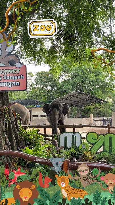 ZOO VLOG 