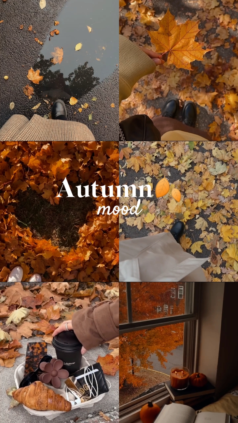 Autumn Mood