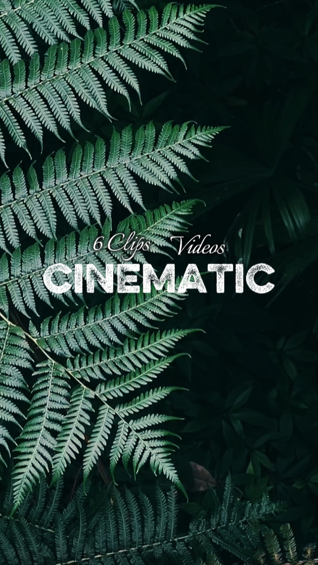 6 na Clip na cinematic