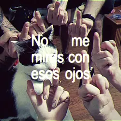 impacto 