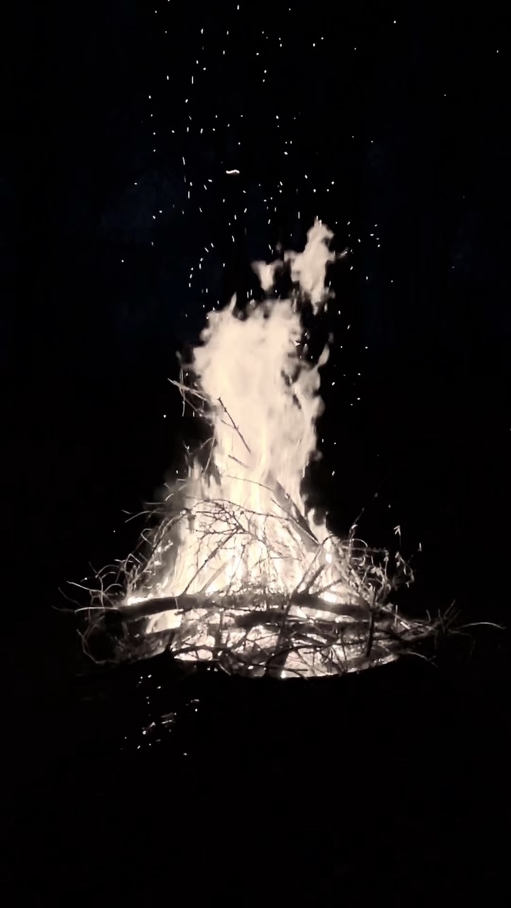 SlowMotion aesthetic