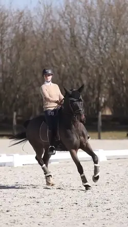 eq slowmoo