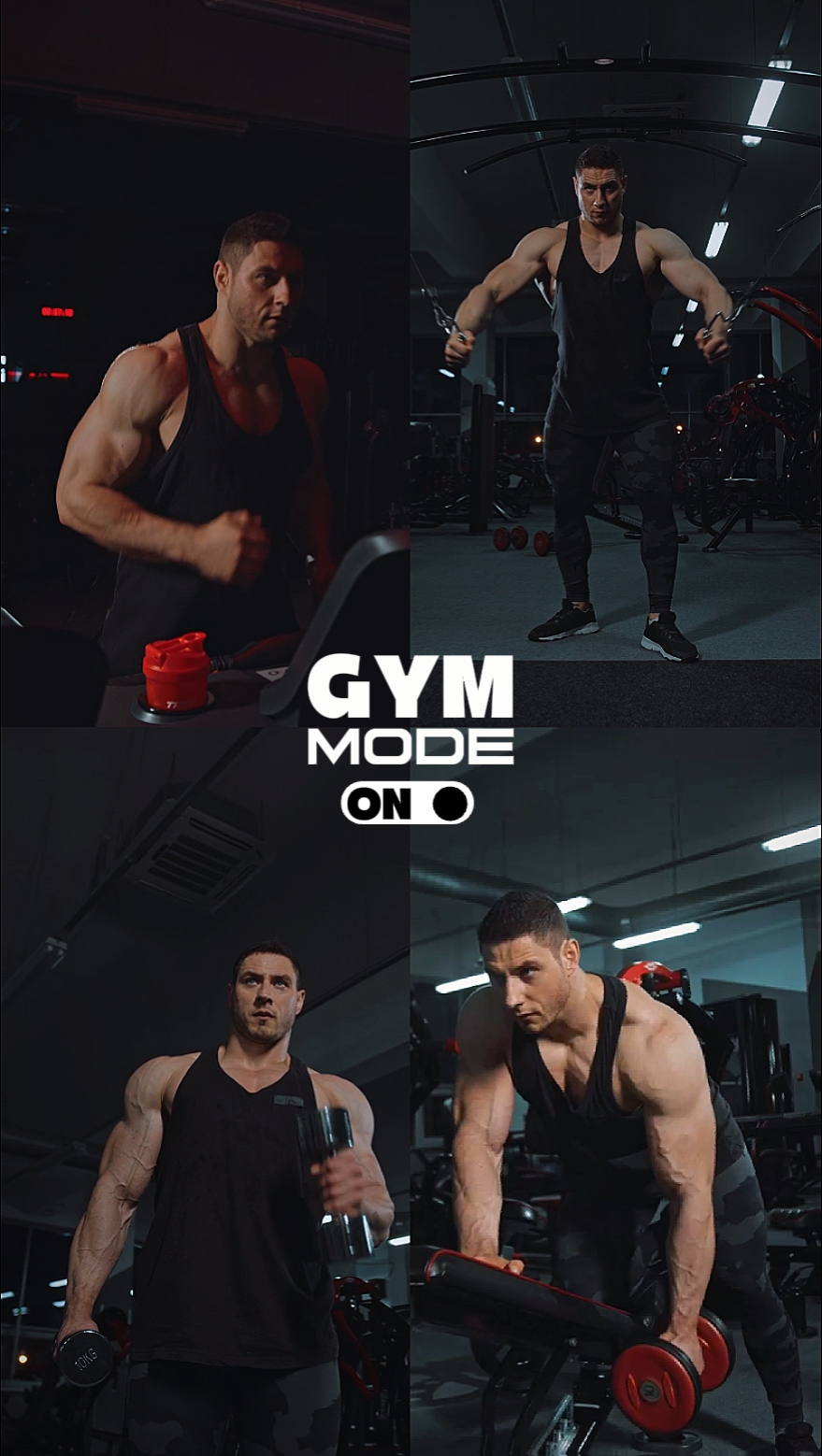 Profesional del gimnasio