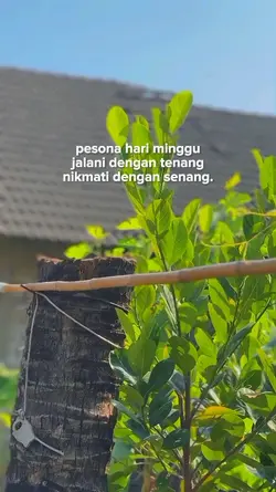 pesona hari minggu