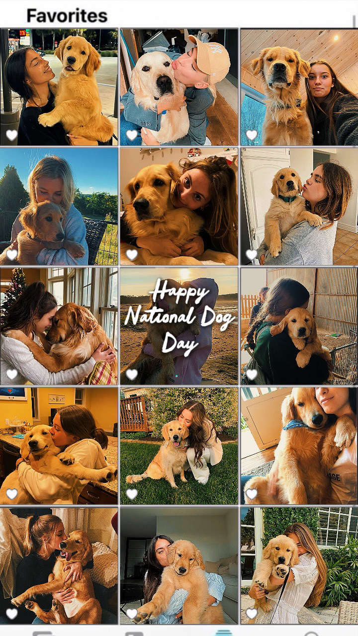 Happy National Dog
