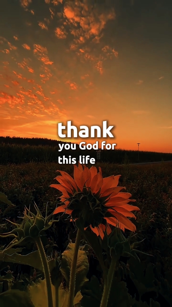 Thankful