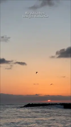 Bir güldün...
