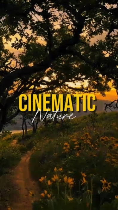 Cinematic 