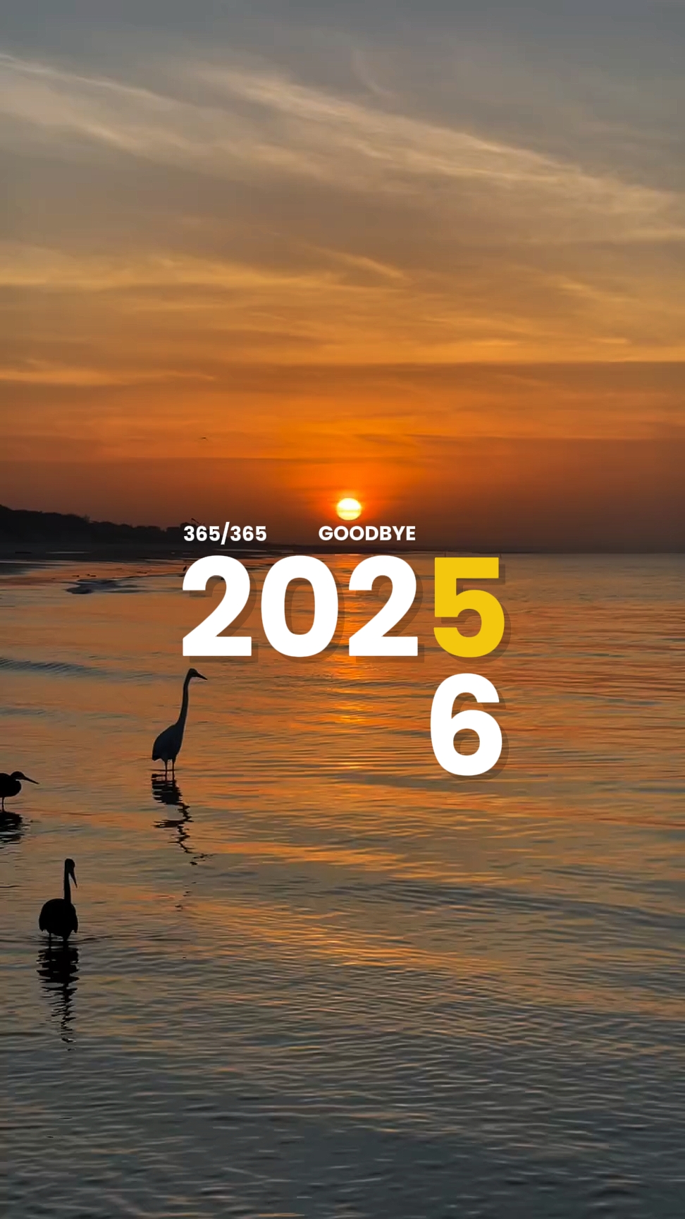 Bienvenido 2026