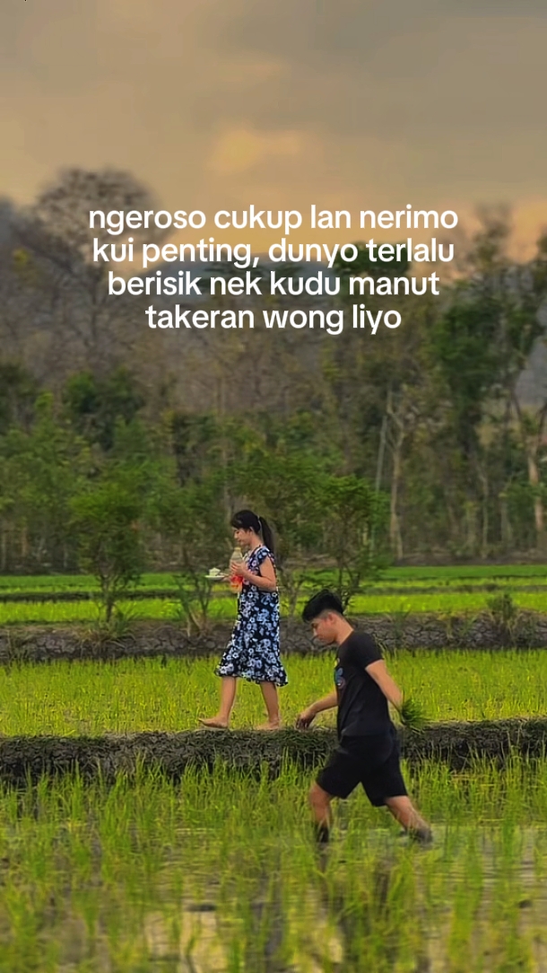 BAHAN STORY