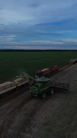 AGRO RAIZ
