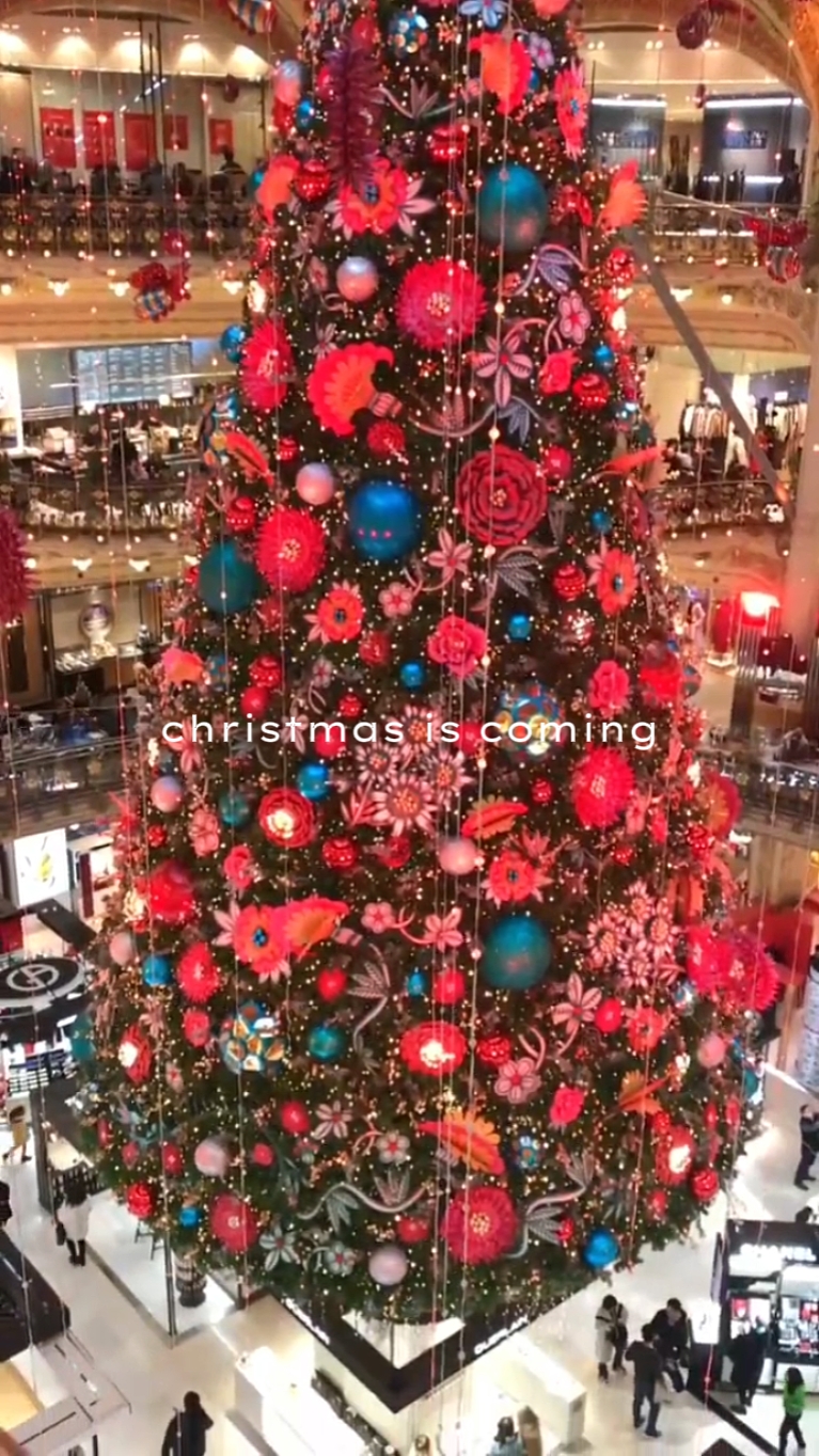 Noel