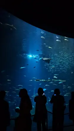 Aquarium Date