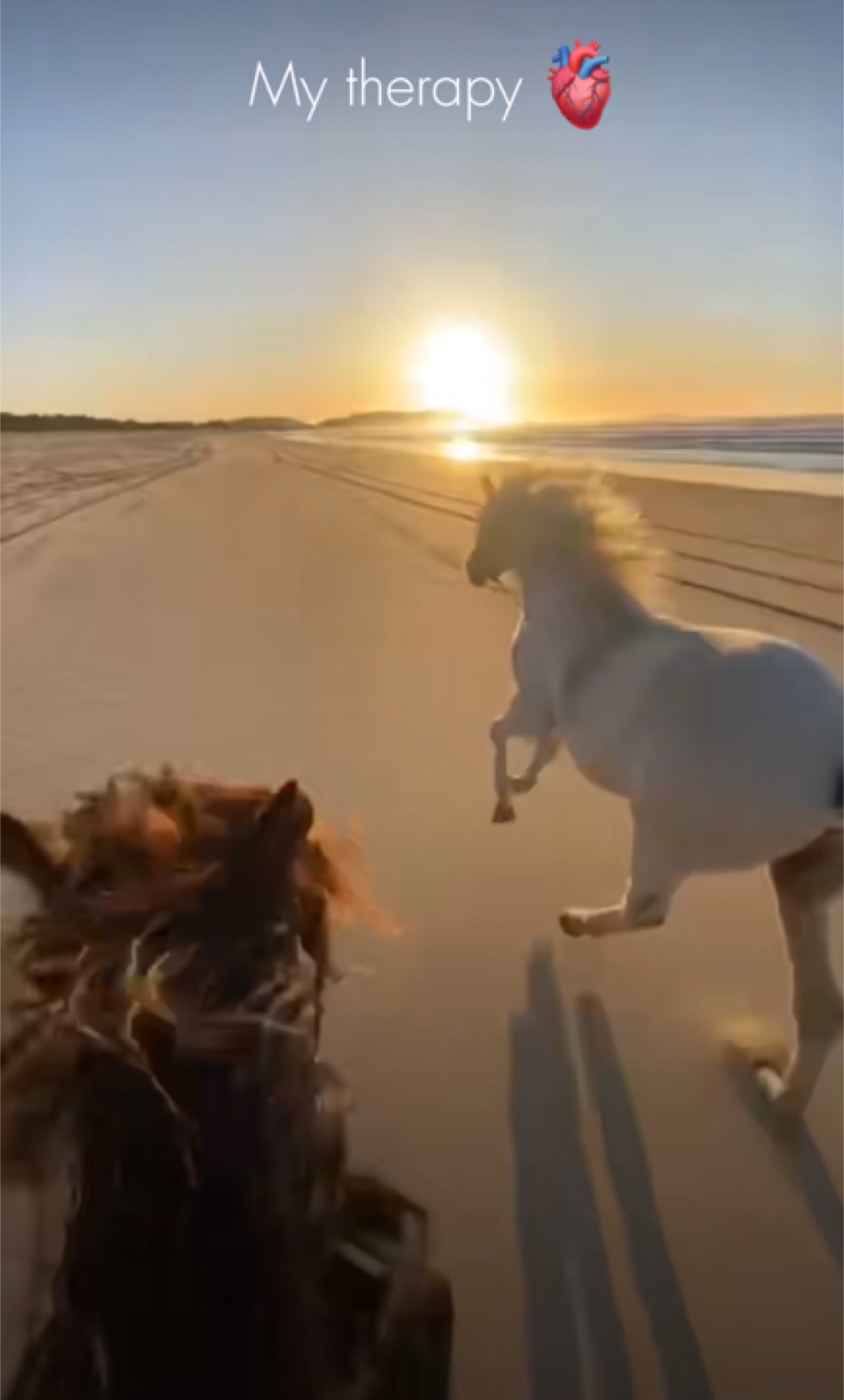 Horse therapy