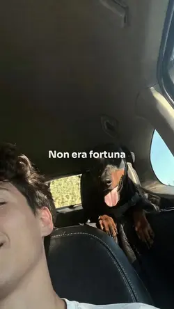 Trailer in 30 secondi