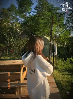 Song Loy..🍃🤍