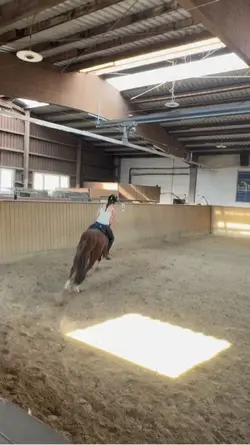 Slomo canter