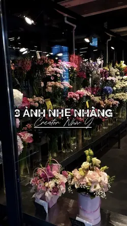 3 ảnh nhẹ nhàng