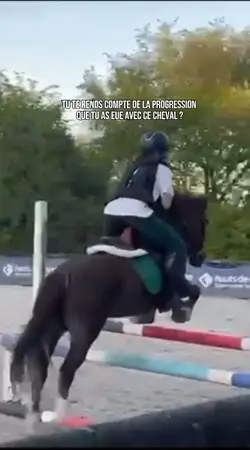 Progression cheval